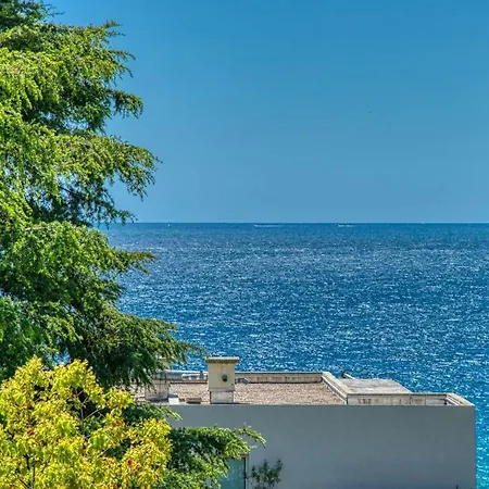 Apartment Nice Sea View Pool Parking 1mn Walk From Beach